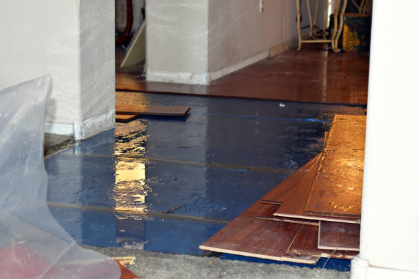 Professional Water Extraction technician working in Santo, TX